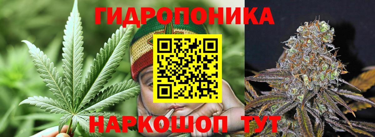 Бошки Шишки сатива Краснознаменск